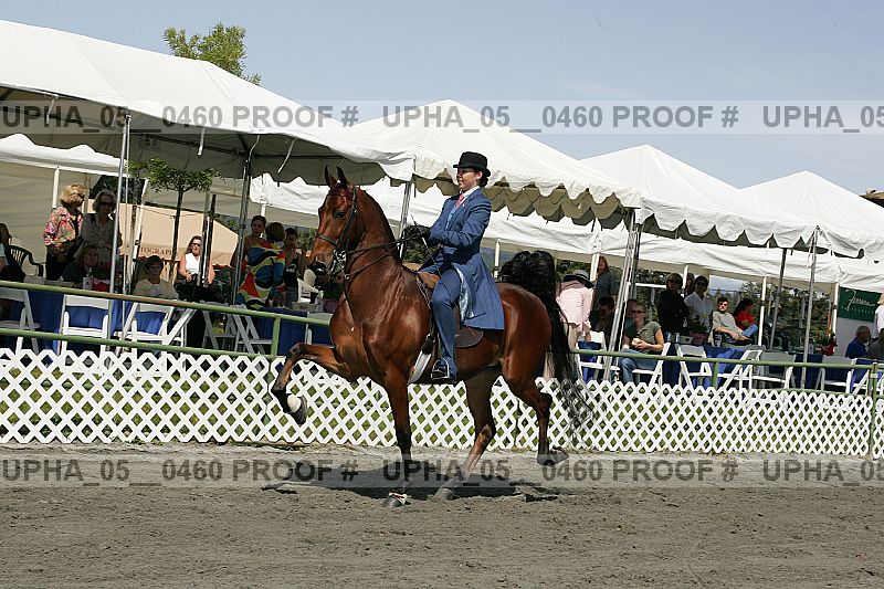 Proof upha_05__0460