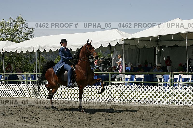 Proof upha_05__0462