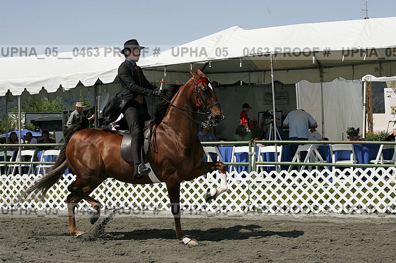 Proof upha_05__0463