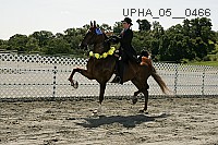 upha_05__0466 proof