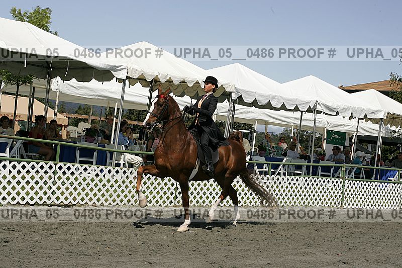 Proof upha_05__0486