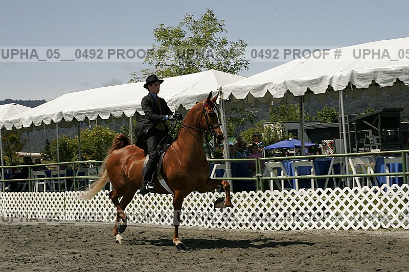 Proof upha_05__0492