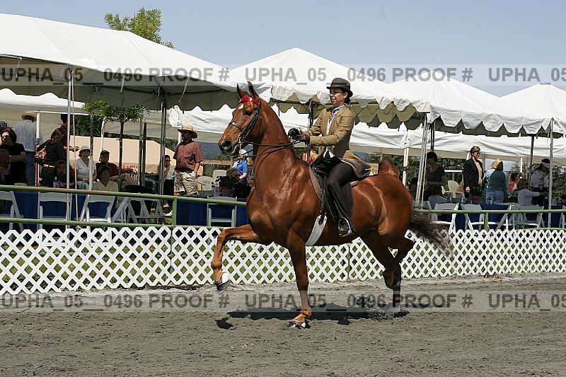 Proof upha_05__0496