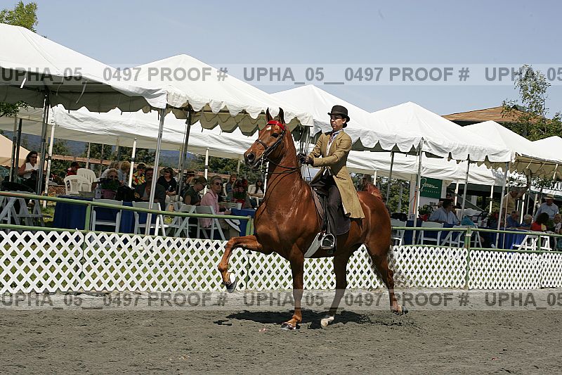 Proof upha_05__0497