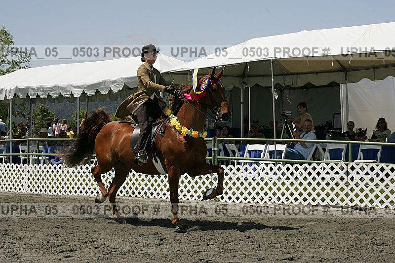 Proof upha_05__0503