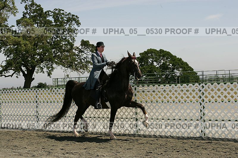 Proof upha_05__0530