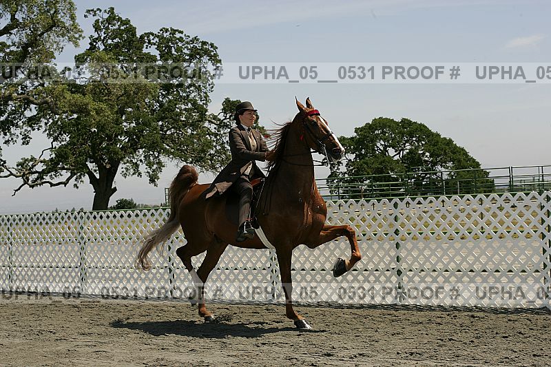 Proof upha_05__0531