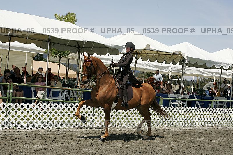 Proof upha_05__0539