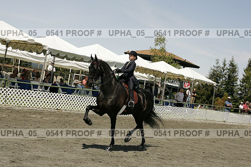 Proof upha_05__0541
