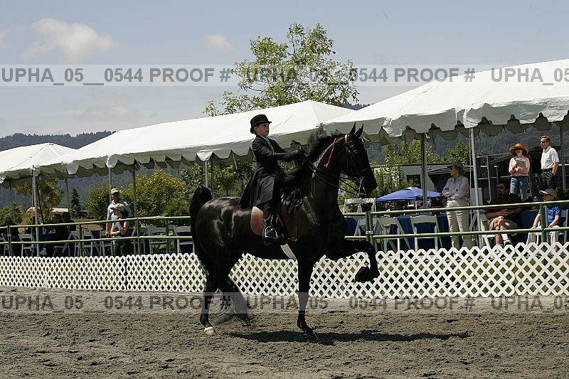 Proof upha_05__0544