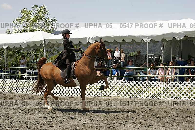 Proof upha_05__0547