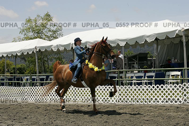 Proof upha_05__0552