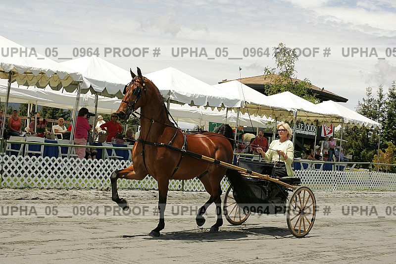 Proof upha_05__0964