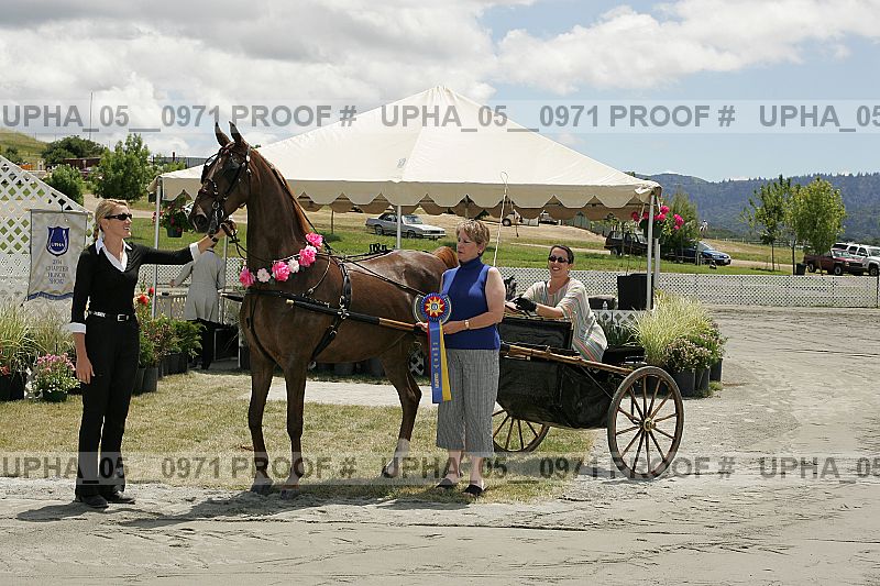 Proof upha_05__0971