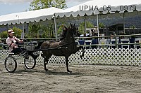 upha_05__0979 proof