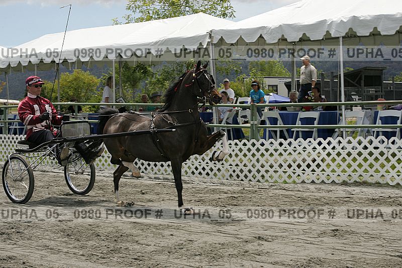 Proof upha_05__0980