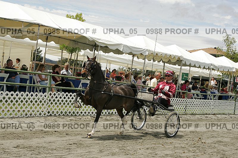 Proof upha_05__0988