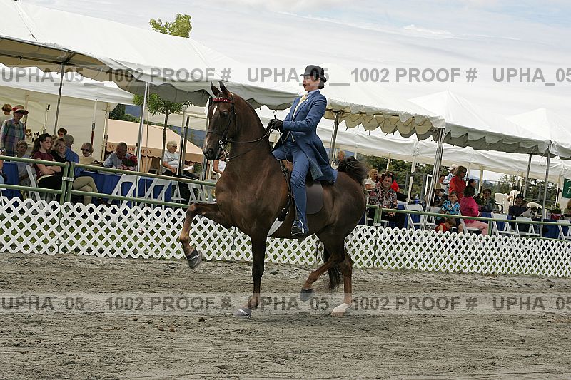 Proof upha_05__1002