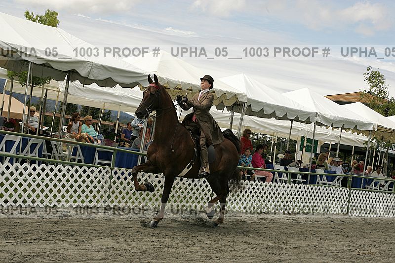 Proof upha_05__1003