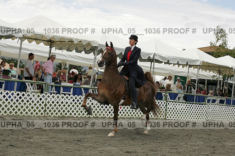 Proof upha_05__1036