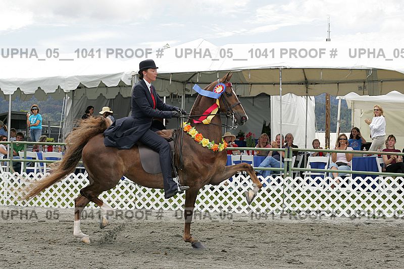 Proof upha_05__1041