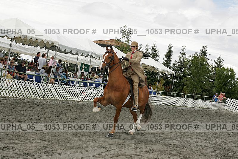 Proof upha_05__1053