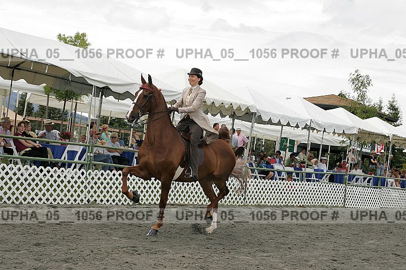 Proof upha_05__1056