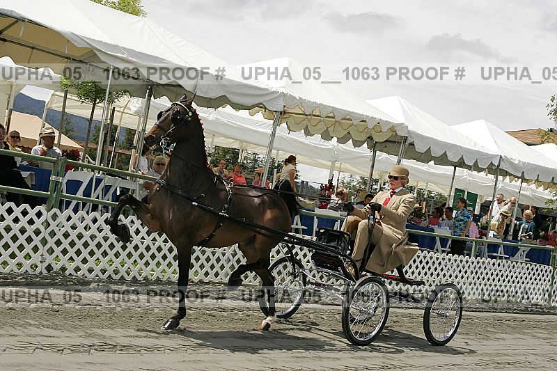 Proof upha_05__1063
