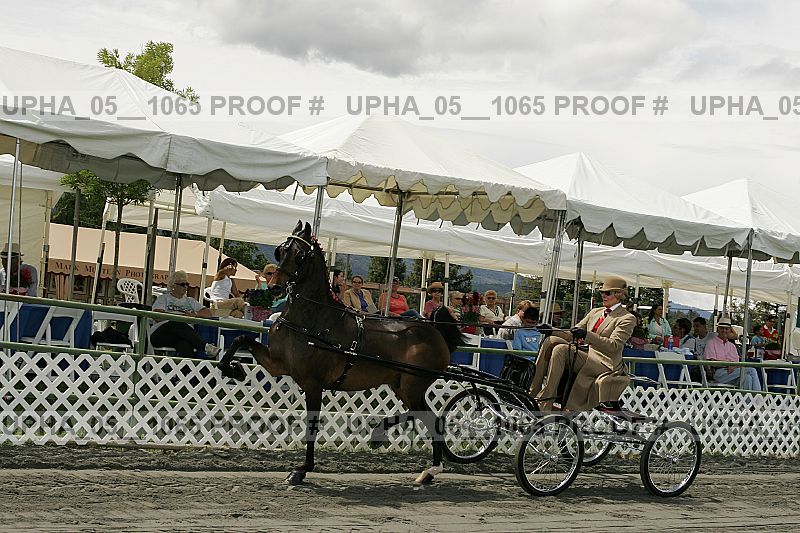 Proof upha_05__1065