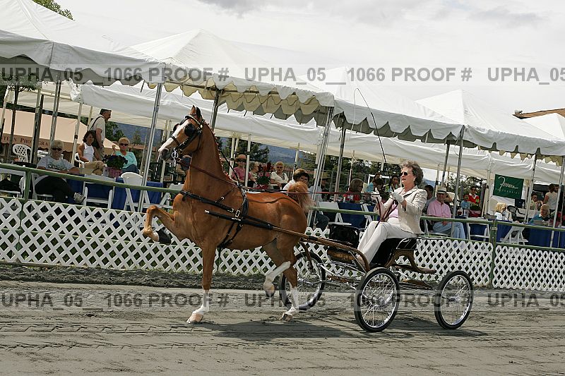 Proof upha_05__1066