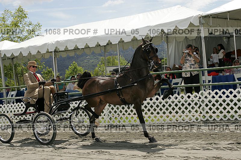 Proof upha_05__1068