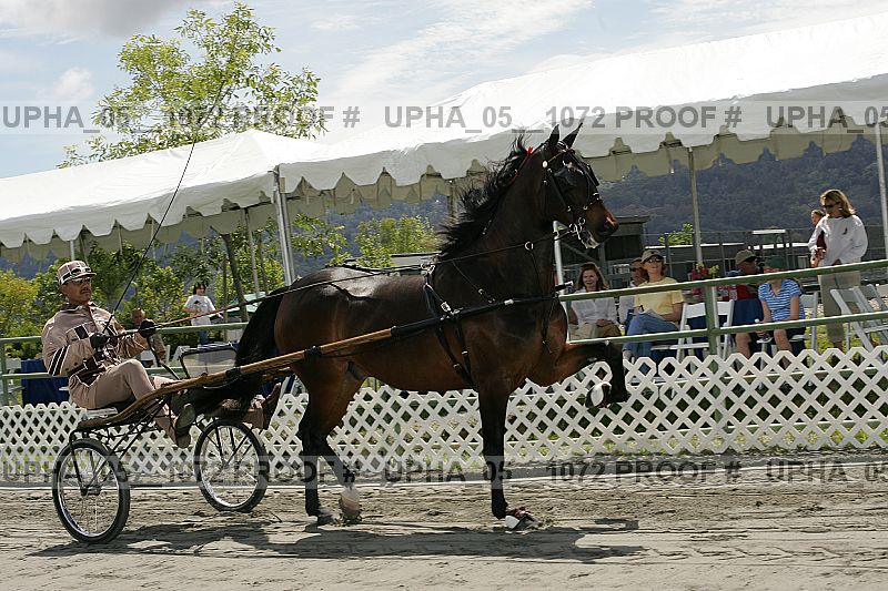 Proof upha_05__1072