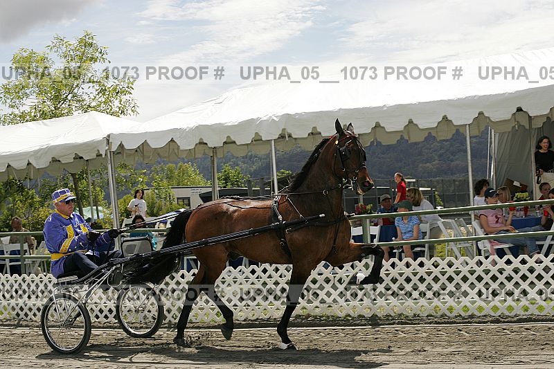 Proof upha_05__1073