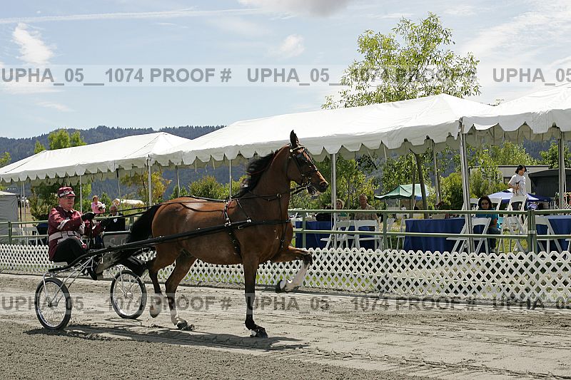 Proof upha_05__1074