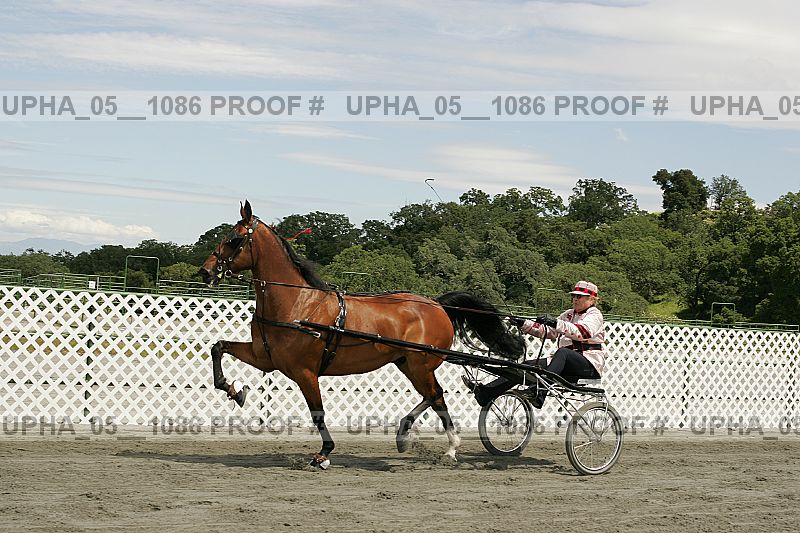 Proof upha_05__1086
