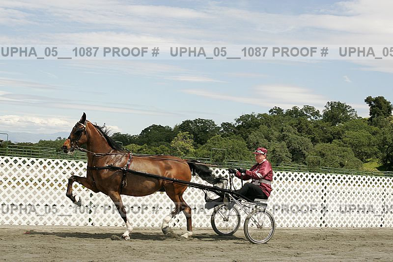 Proof upha_05__1087