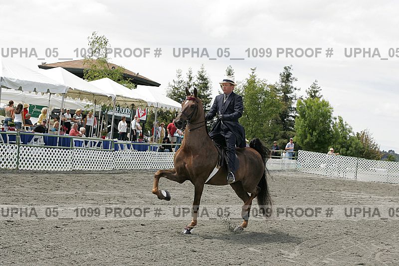 Proof upha_05__1099
