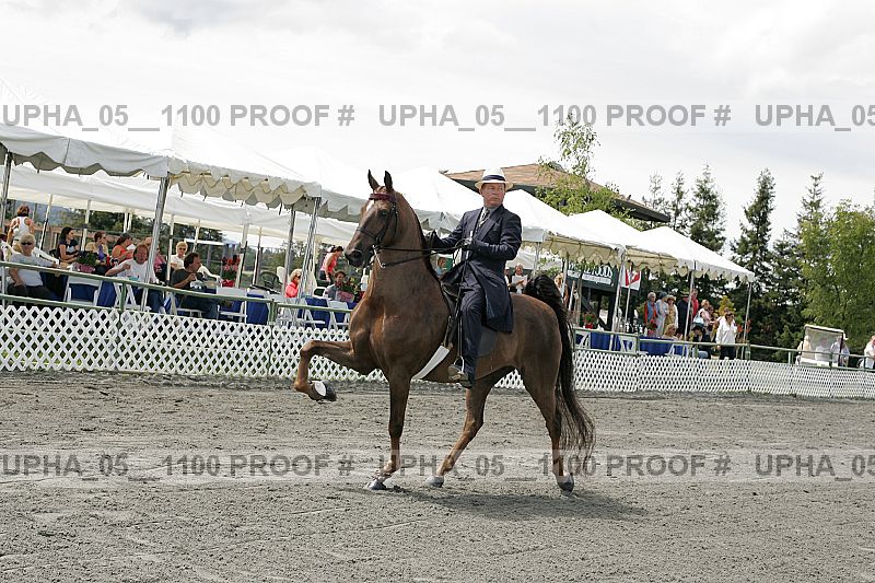 Proof upha_05__1100