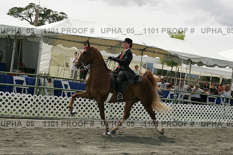 Proof upha_05__1101