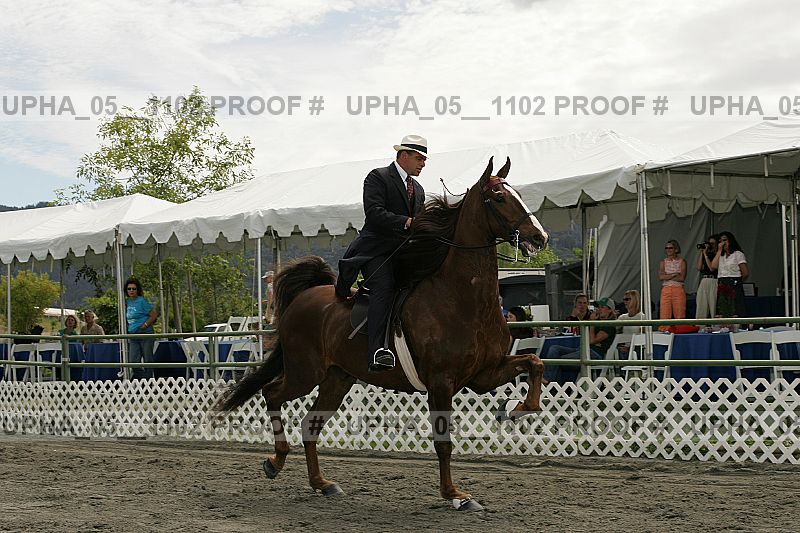 Proof upha_05__1102