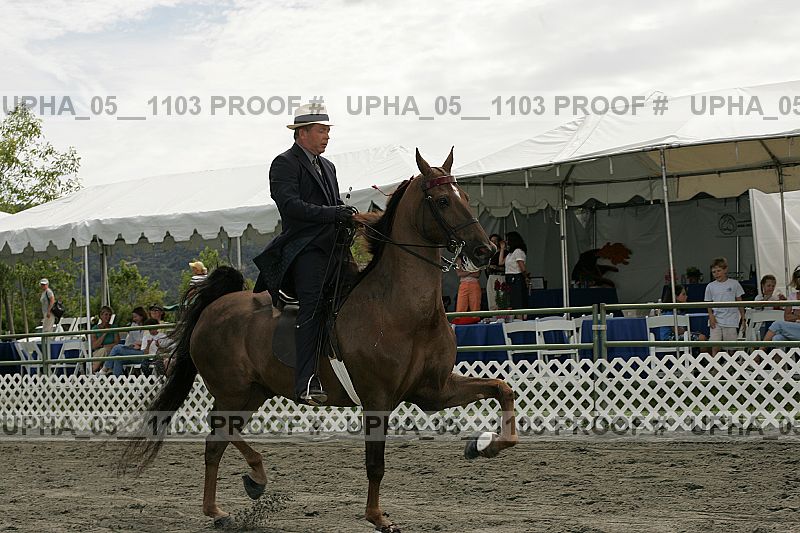 Proof upha_05__1103
