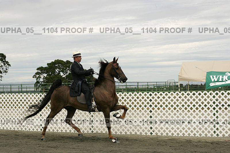 Proof upha_05__1104