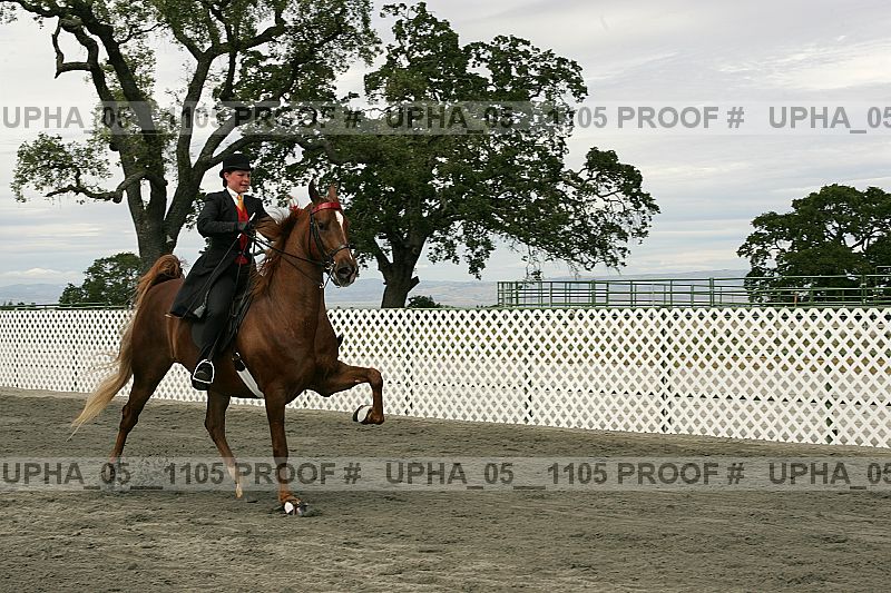 Proof upha_05__1105