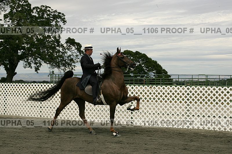 Proof upha_05__1106