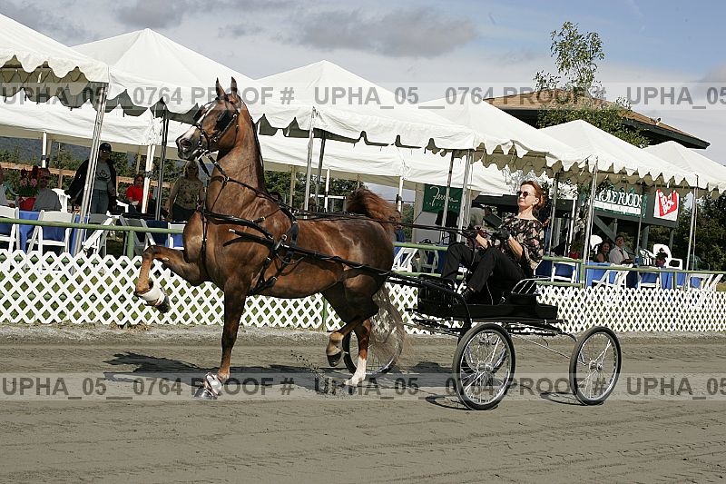 Proof upha_05__0764