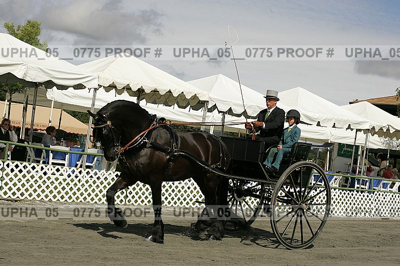 Proof upha_05__0775