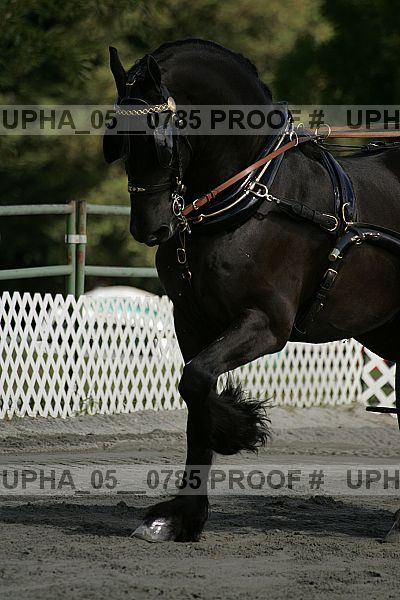 Proof upha_05__0785