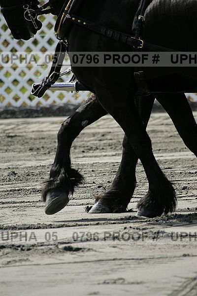 Proof upha_05__0796