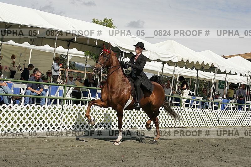 Proof upha_05__0824