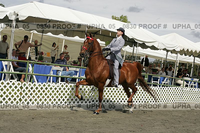 Proof upha_05__0830